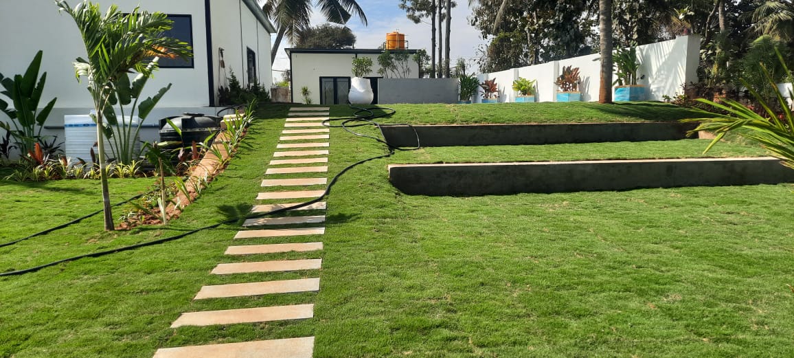 Commercial Villa Mexican Lawn Mat Installation Bangalore